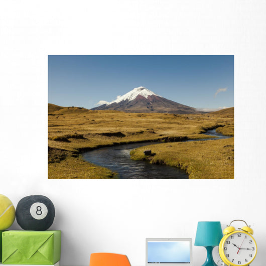 Cotopaxi Volcano and Blue Wall Decal