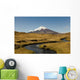 Cotopaxi Volcano and Blue Wall Decal