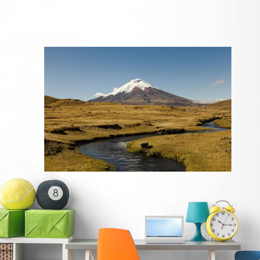 Cotopaxi Volcano and Blue Wall Decal