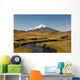 Cotopaxi Volcano and Blue Wall Decal