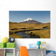 Cotopaxi Volcano and Blue Wall Decal