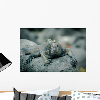 Iguanas San Cristobal Galapagos Wall Decal shown on a wall
