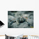 Iguanas San Cristobal Galapagos Wall Decal