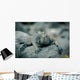 Iguanas San Cristobal Galapagos Wall Decal