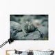 Iguanas San Cristobal Galapagos Wall Decal