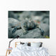 Iguanas San Cristobal Galapagos Wall Decal