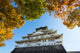 Osaka Castle Wall Decal