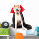 Vampire Akita Inu Wall Decal