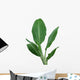 Banana Plant Wall Decal