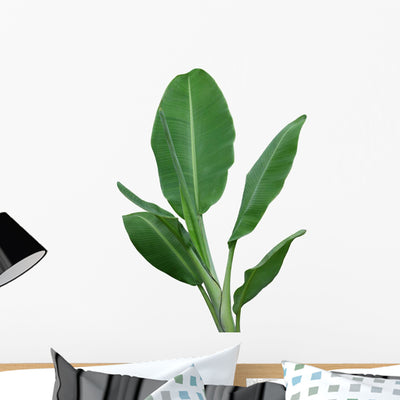 Banana Plant Wall Decal shown on a wall