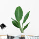 Banana Plant Wall Decal