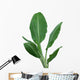 Banana Plant Wall Decal