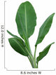 Banana Plant Wall Decal