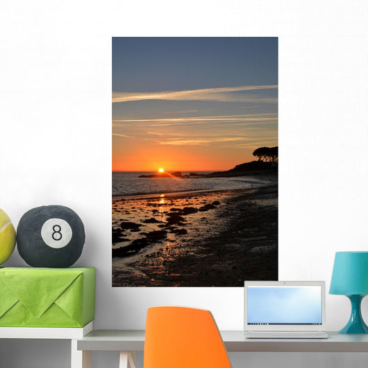 Degrade Du Soleil Et Wall Decal