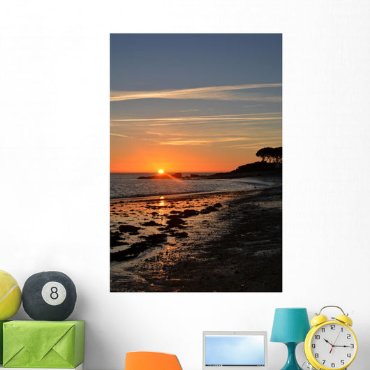 Degrade Du Soleil Et Wall Decal