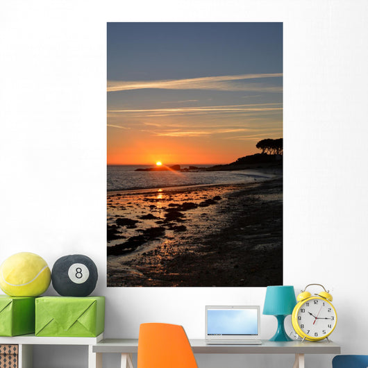 Degrade Du Soleil Et Wall Decal