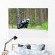 Motorcyclist Wall Decal
