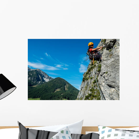 Rock Climbing Wall Decal