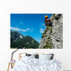 Rock Climbing Wall Decal