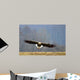 Offensive Attack Seeadler Wall Decal