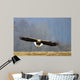 Offensive Attack Seeadler Wall Decal