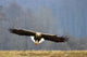 Offensive Attack Seeadler Wall Decal