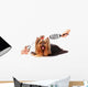 Yorkshire Terrier Grooming Salon Wall Decal