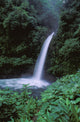 Tropical Waterfall Wall Mural