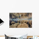 Shallow Reef Calm Water Wall Decal