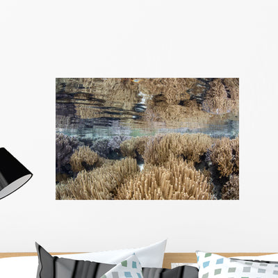 Shallow Reef Calm Water Wall Decal shown on a wall