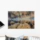 Shallow Reef Calm Water Wall Decal