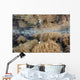 Shallow Reef Calm Water Wall Decal