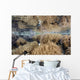 Shallow Reef Calm Water Wall Decal