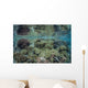 Reef Coral Triangle Wall Decal