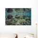 Reef Coral Triangle Wall Decal