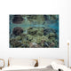 Reef Coral Triangle Wall Decal