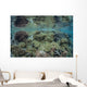 Reef Coral Triangle Wall Decal