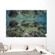 Reef Coral Triangle Wall Decal