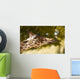 Giraffe Eating Leaves Wall Decal