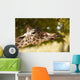 Giraffe Eating Leaves Wall Decal