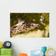 Giraffe Eating Leaves Wall Decal