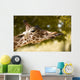 Giraffe Eating Leaves Wall Decal