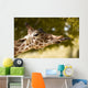 Giraffe Eating Leaves Wall Decal