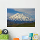 Mt McKinley Denali National Wall Decal