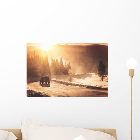 Extreme Winter Road Condition Wall Decal