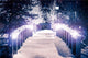 Park Bridge Winter Wall Decal