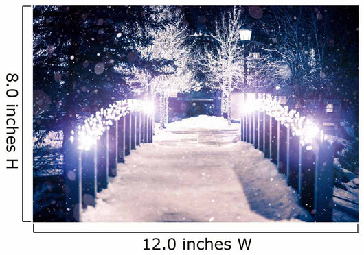 Park Bridge Winter Wall Decal
