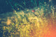 Wild Meadow with Butterfly Wall Decal