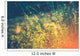 Wild Meadow with Butterfly Wall Decal