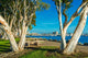 San Diego Waterfront Park Wall Decal